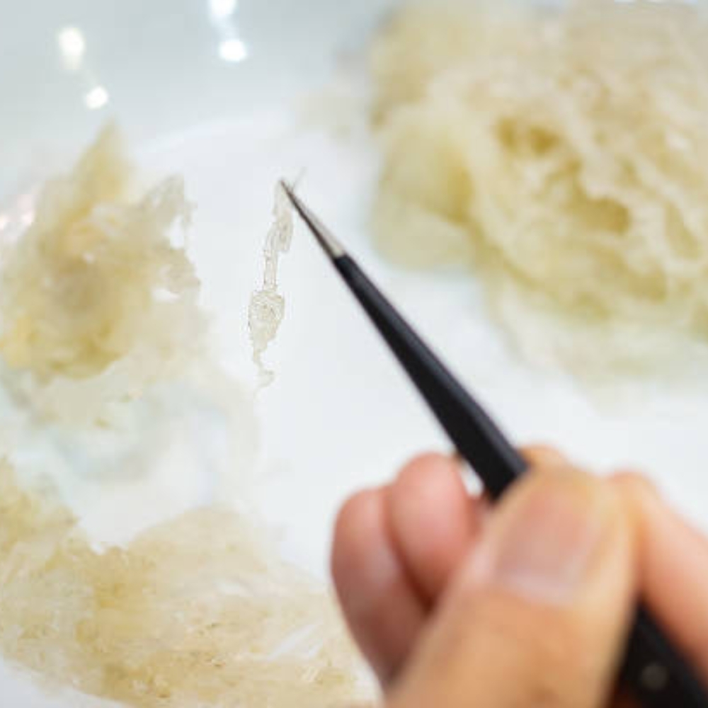 Những Kiêng Kỵ Khi Sử Dụng Tổ Yến
